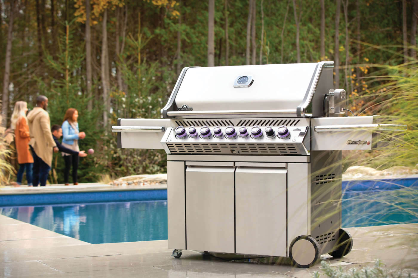Napoleon Prestige PRO 665 Erdgas ohne Drehspieß, Grills, Detailansicht 4