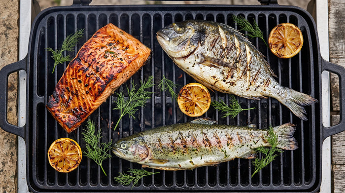 Fisch Kerntemperatur: Lachsfilet, Dorade und Forelle mit Grillstreifen, dazu Zitrone und Dill