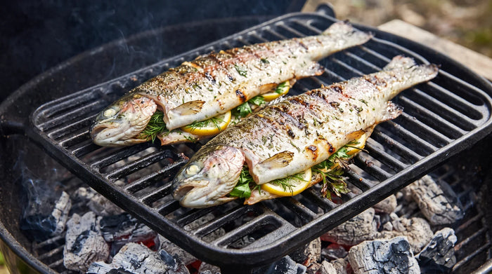 Zwei gegrillte Forellen mit Zitrone und Kräutern auf dem Holzkohlegrill
