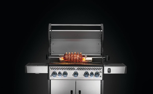 Napoleon Rotisserie Heavy Duty, Rogue, Detailansicht 1