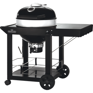 Napoleon Kohlegrills