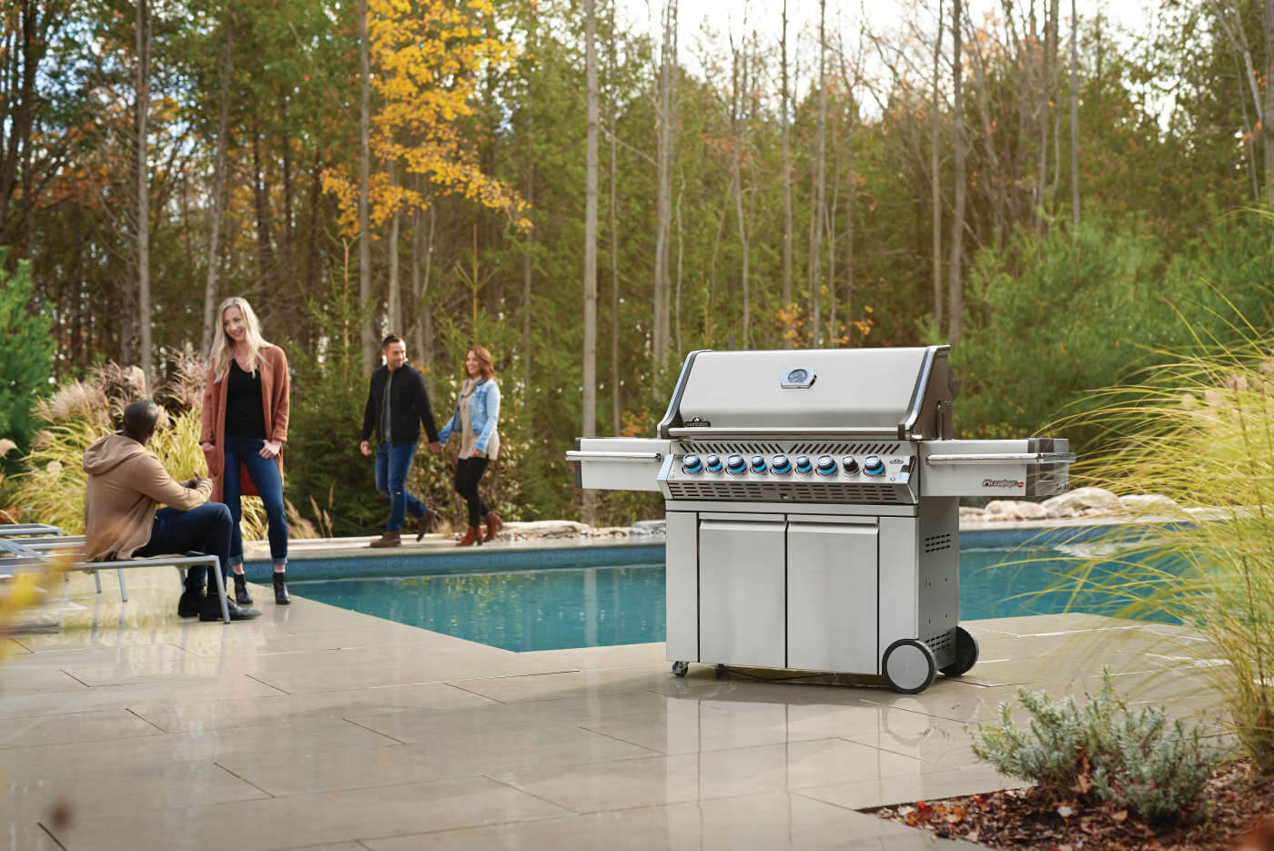 Napoleon Prestige PRO 665 Erdgas ohne Drehspieß, Grills, Detailansicht 3