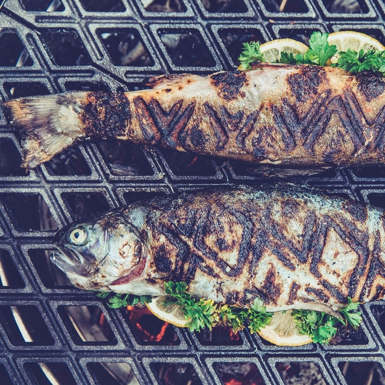 Höfats Gussrost, CONE, Grillzubehör, Detailansicht 3